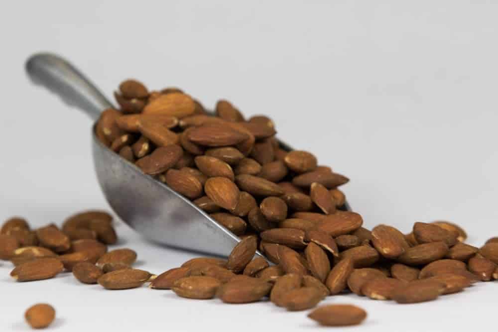 Roasted Unblanched Almonds Order Nuts Arcade Snacks