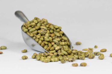 Scoop of Dry Roasted Salted Edamame