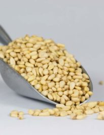 Chinese Pignolia Nuts displayed in a scoop
