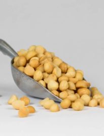 Macadamia Nuts