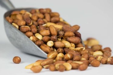 Redskin Peanuts in a scoop