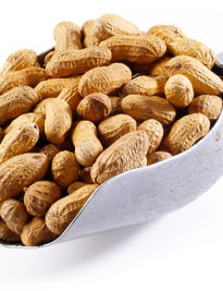 Jumbo Inshell Peanuts