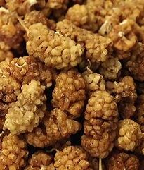 Dried White Mulberries