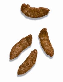 Sesame Sticks